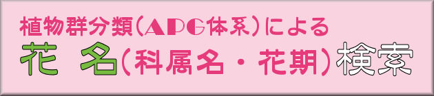 Flower Name Searching/花名検索